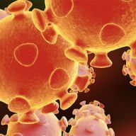 Coronavirus et demande de passeport